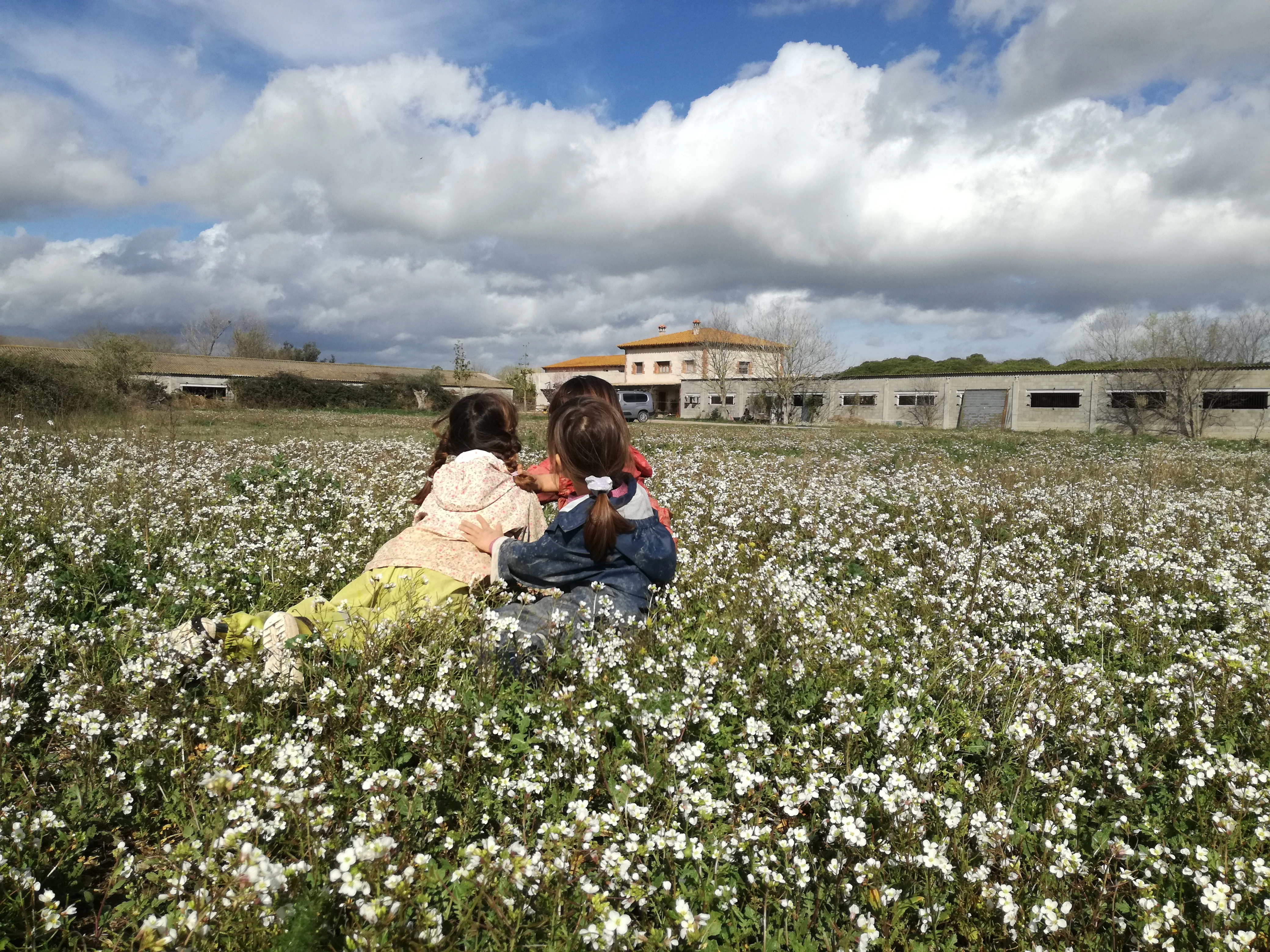 Connexió amb la natura